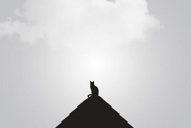 minimal-blogger-11